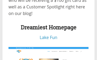 Lake Fun wins Prestigious Best Homepage Award