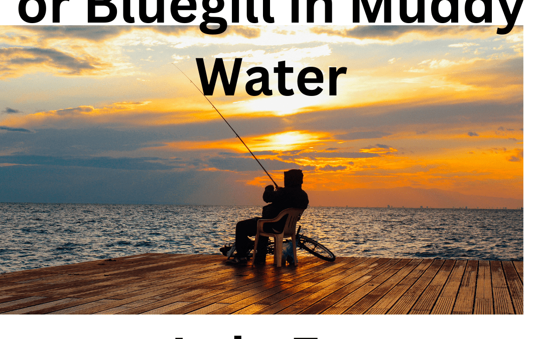 Guy fishing on a dock, in a lake, in muddy water during a beautiful sunset having lake fun