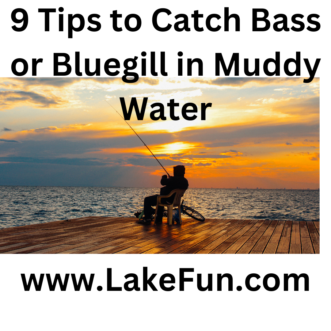 9 Tips to Catch Bass or Bluegill in Muddy Water