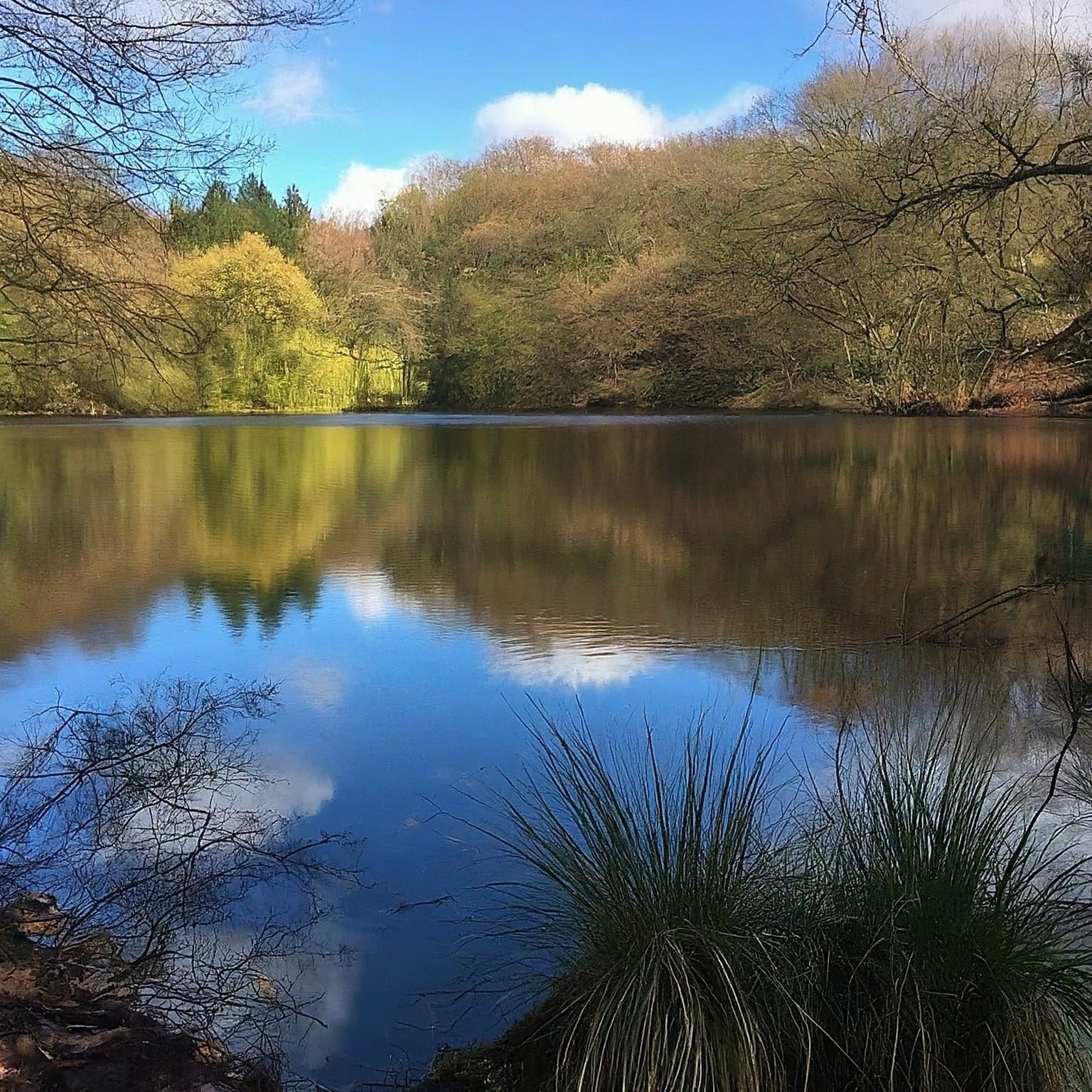 Bomere Pool Lake