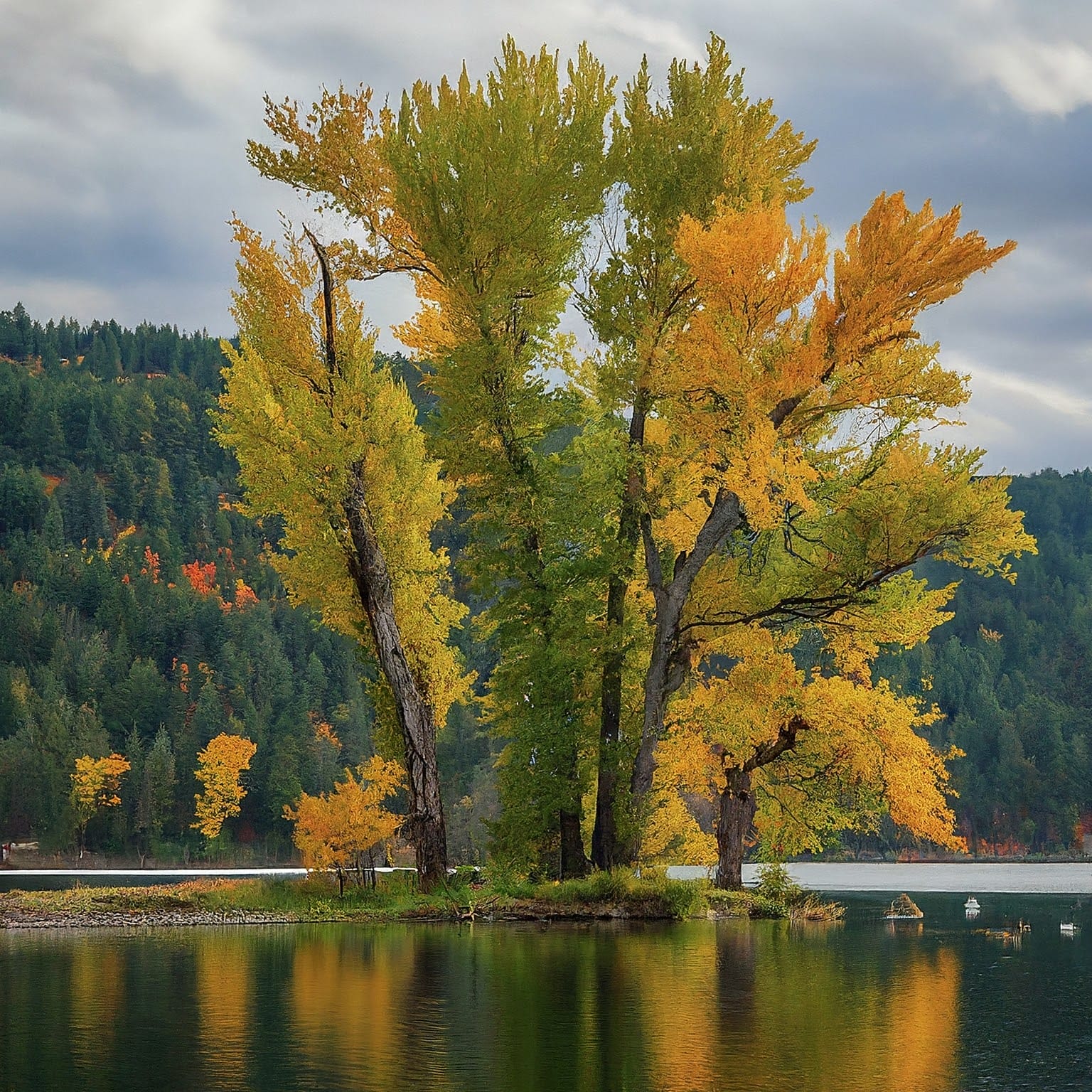 Mark Twain Lake