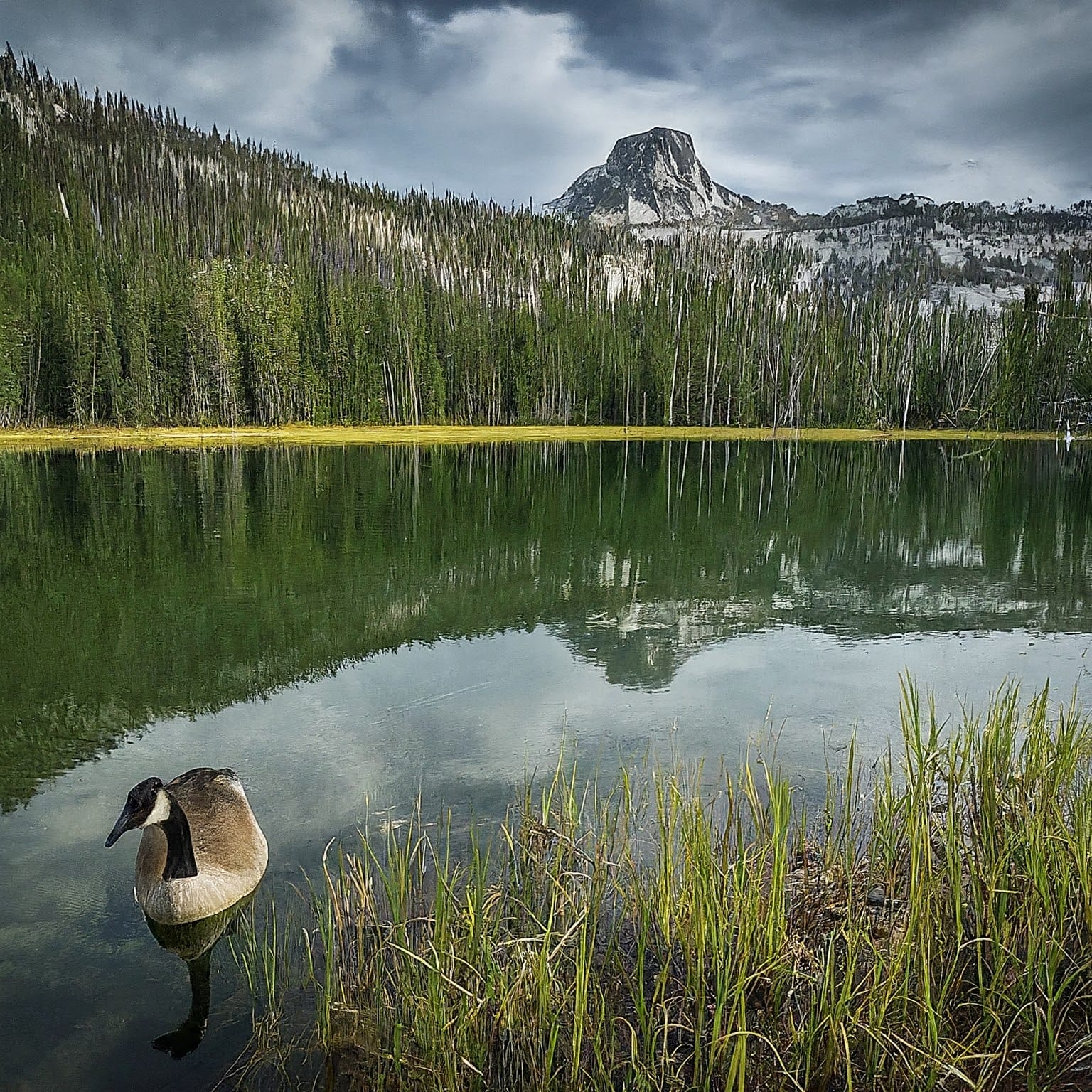 Mother Goose Lake 