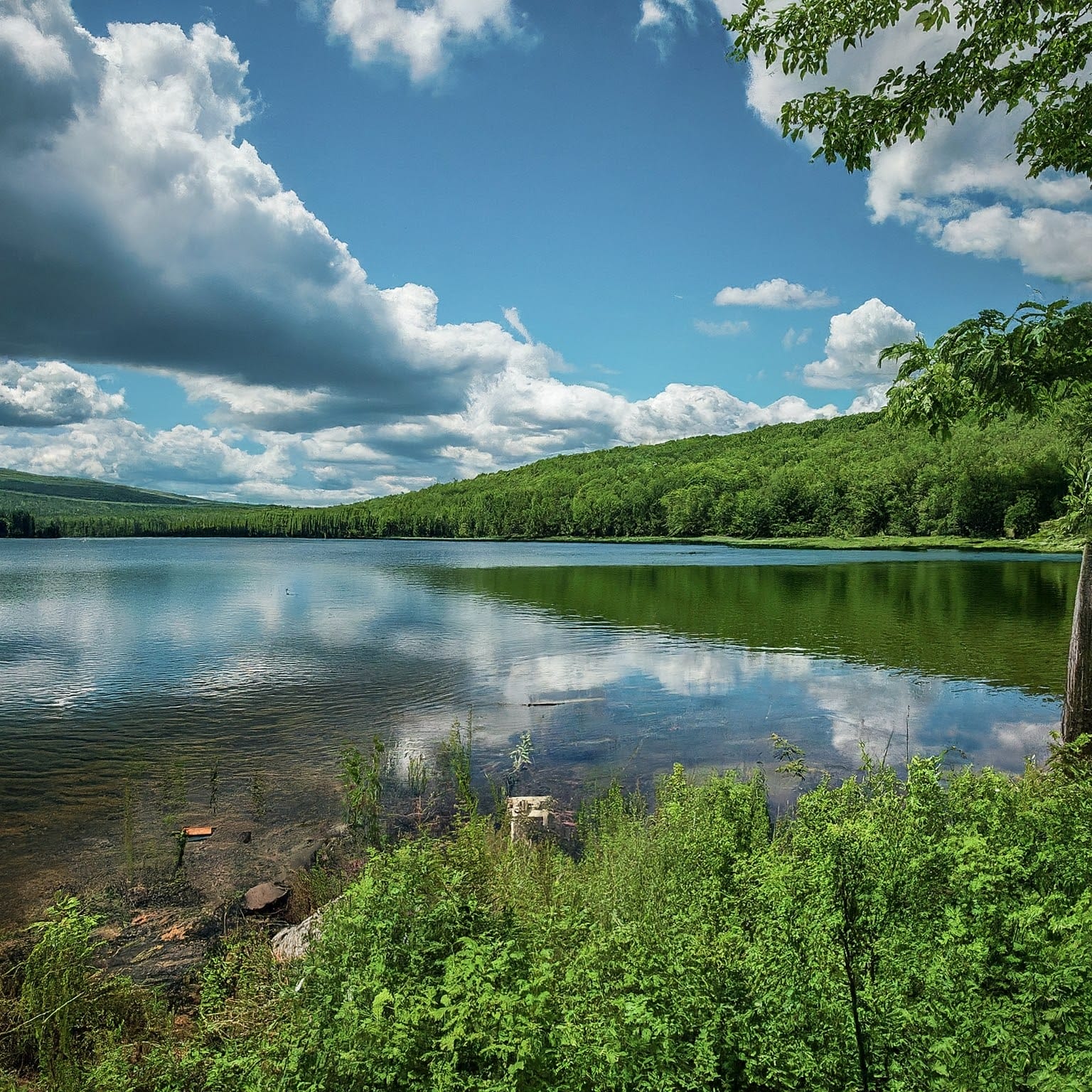 Walloon Lake