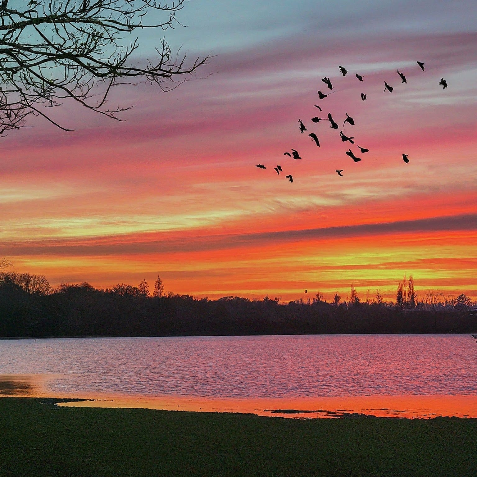 Walthamstow Reservoirs