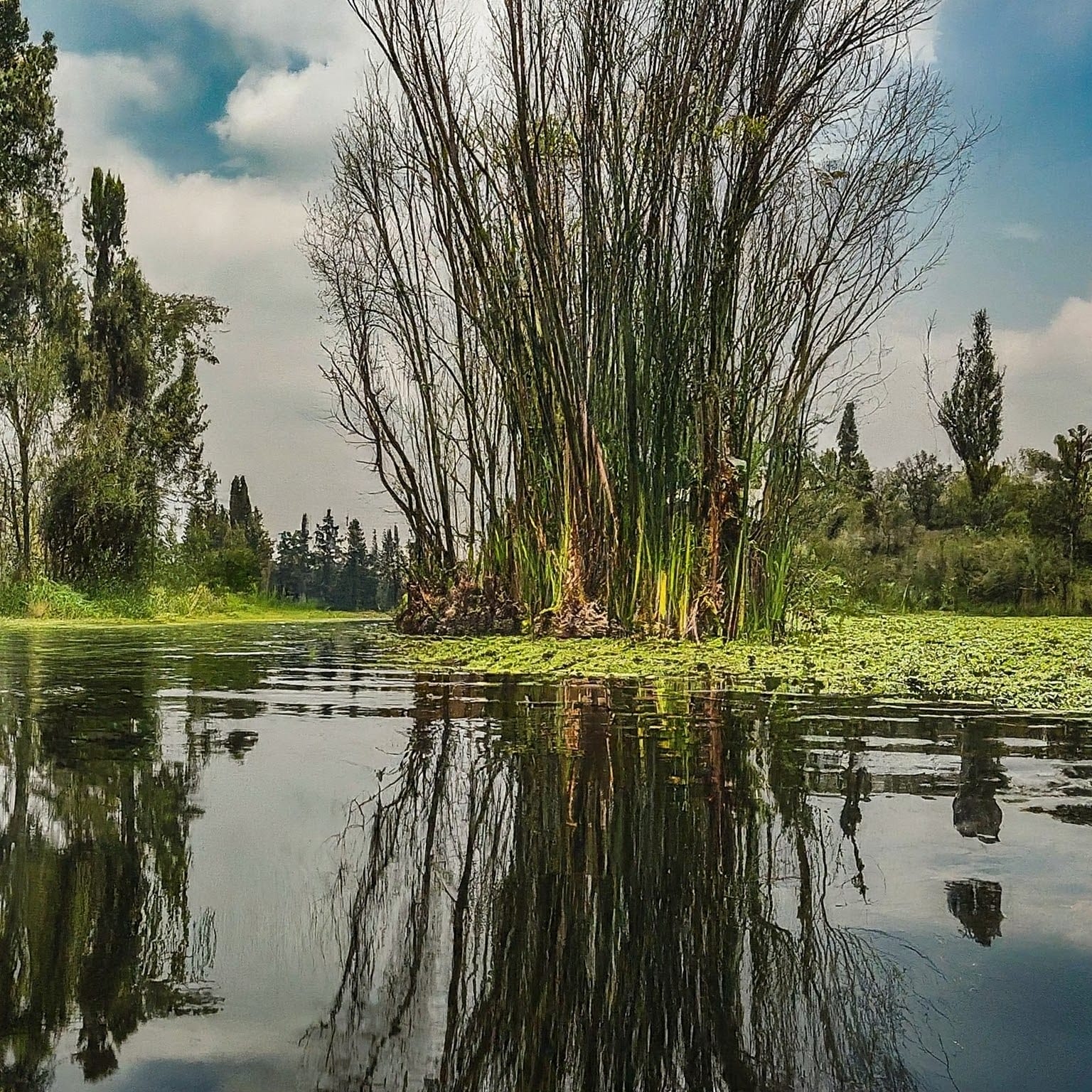 Xochimilco Lake 